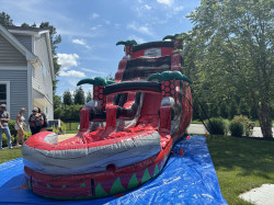 18 ft Amazon Palm Slide (wet)